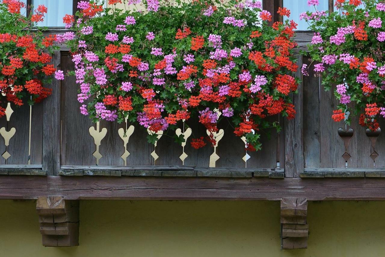 Ferienwohnung Müllnerbauer Penk Exterior foto