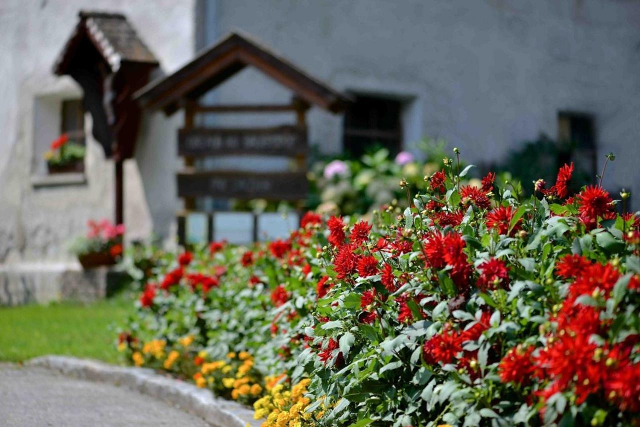 Ferienwohnung Müllnerbauer Penk Exterior foto